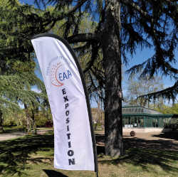Exposition à l'Espace Artistique de l'Anjou Pignerolle Saint Barthélémy d'Anjou