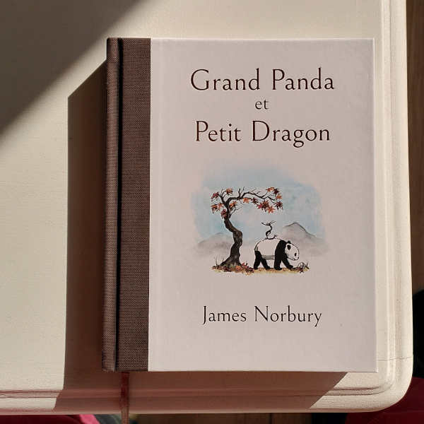 Livre grand panda et petit dragon de James Norbury découvert à la cabane des gourmand.e.s